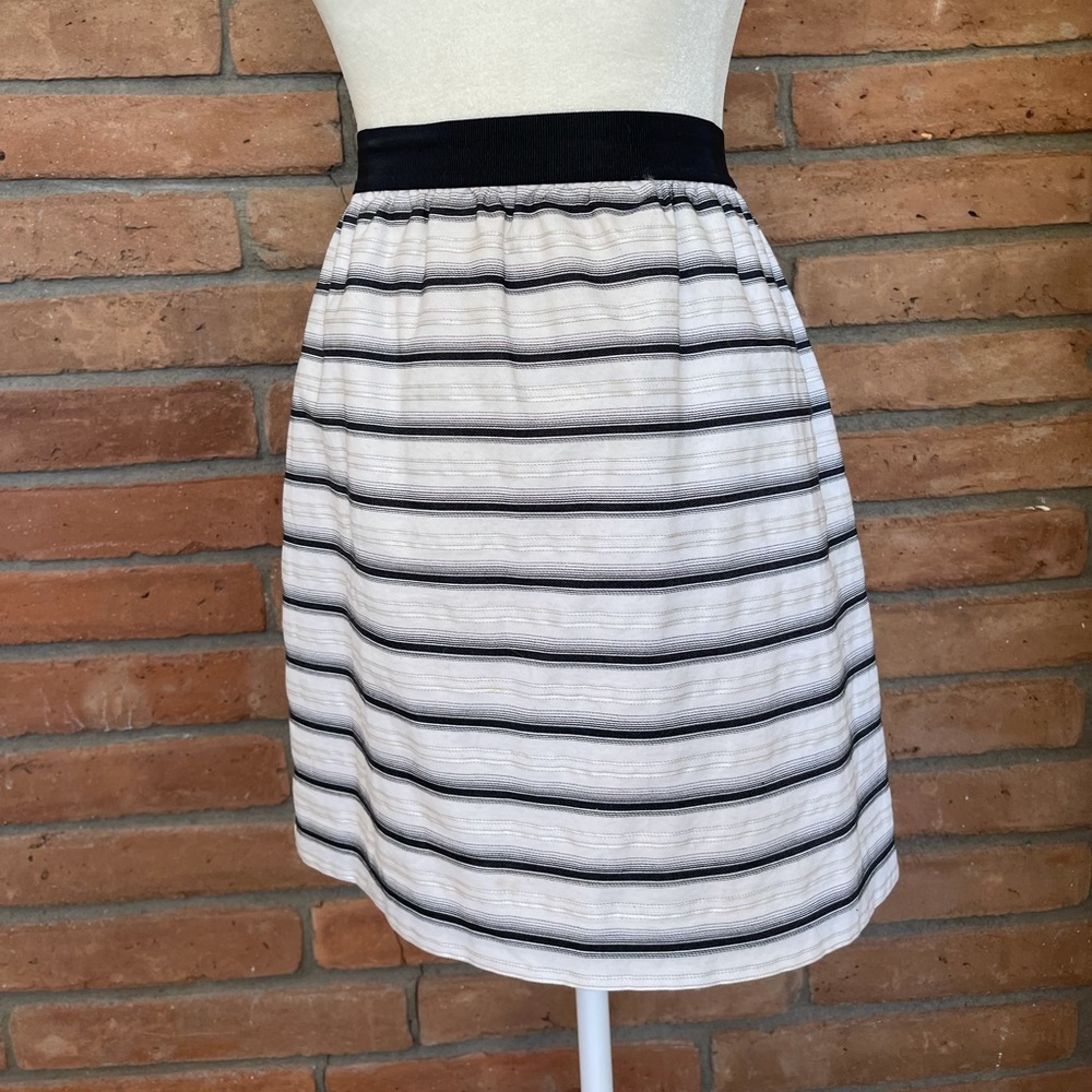 Ann Taylor skirt
